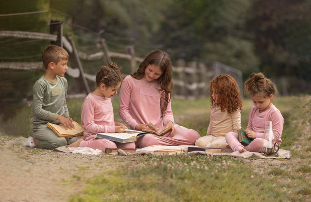The Meadow Edit