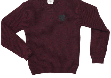 T19- Boys Wine Textured Knit Sweater