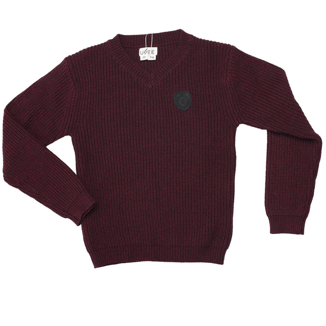 T19- Boys Wine Textured Knit Sweater