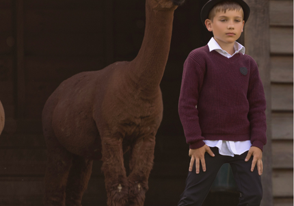 T19- Boys Wine Textured Knit Sweater