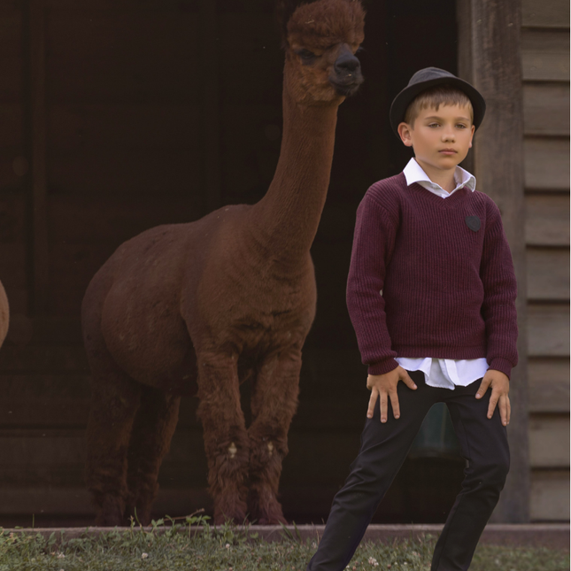T19- Boys Wine Textured Knit Sweater