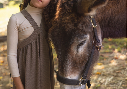 G5- Girls Brown & Beige Maxi Jumper
