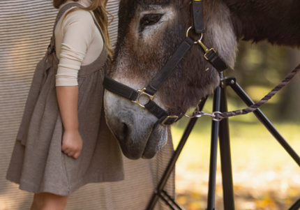 G6- Girls Brown & Beige Short Jumper